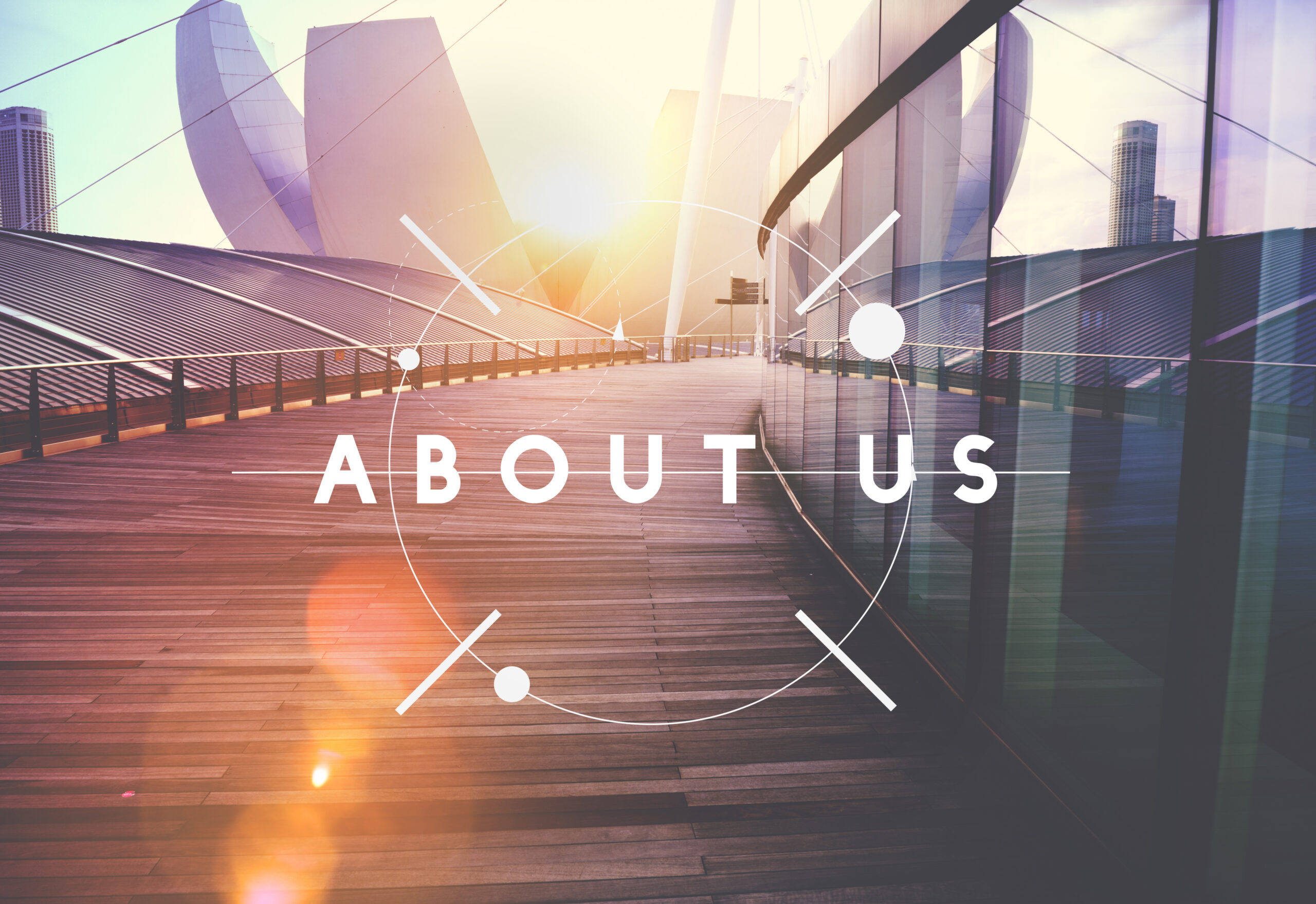 Evolve Launch Networks digital strategy and design